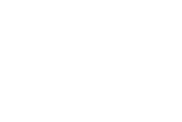 Nesling_logo_feher