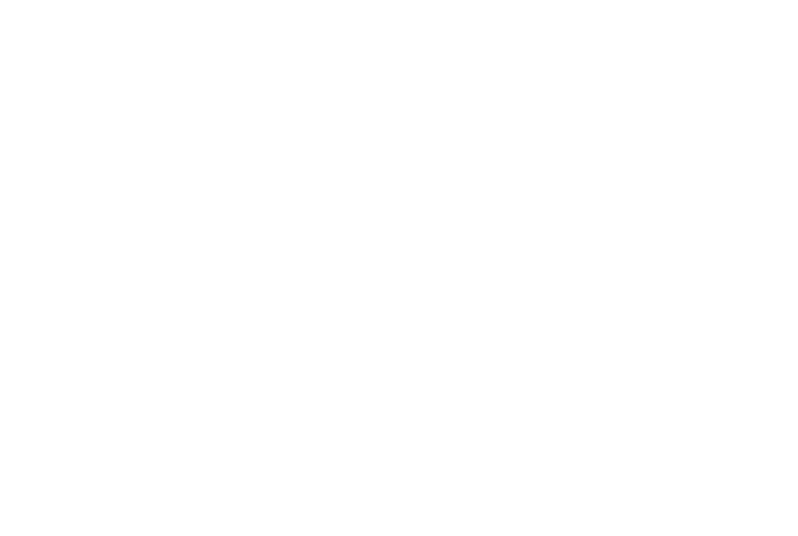logo-IDEAL_feher