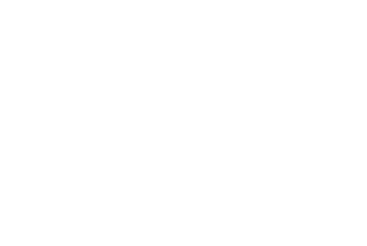 polyfaser_logo_feher